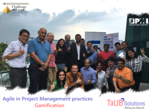 Agile in Project Management Practices